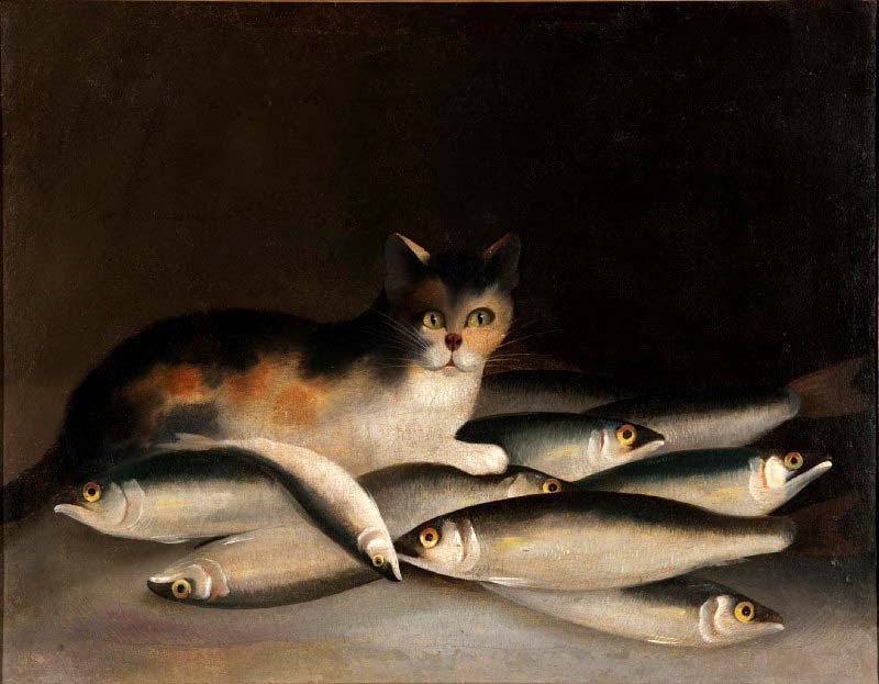 Cat and Fish